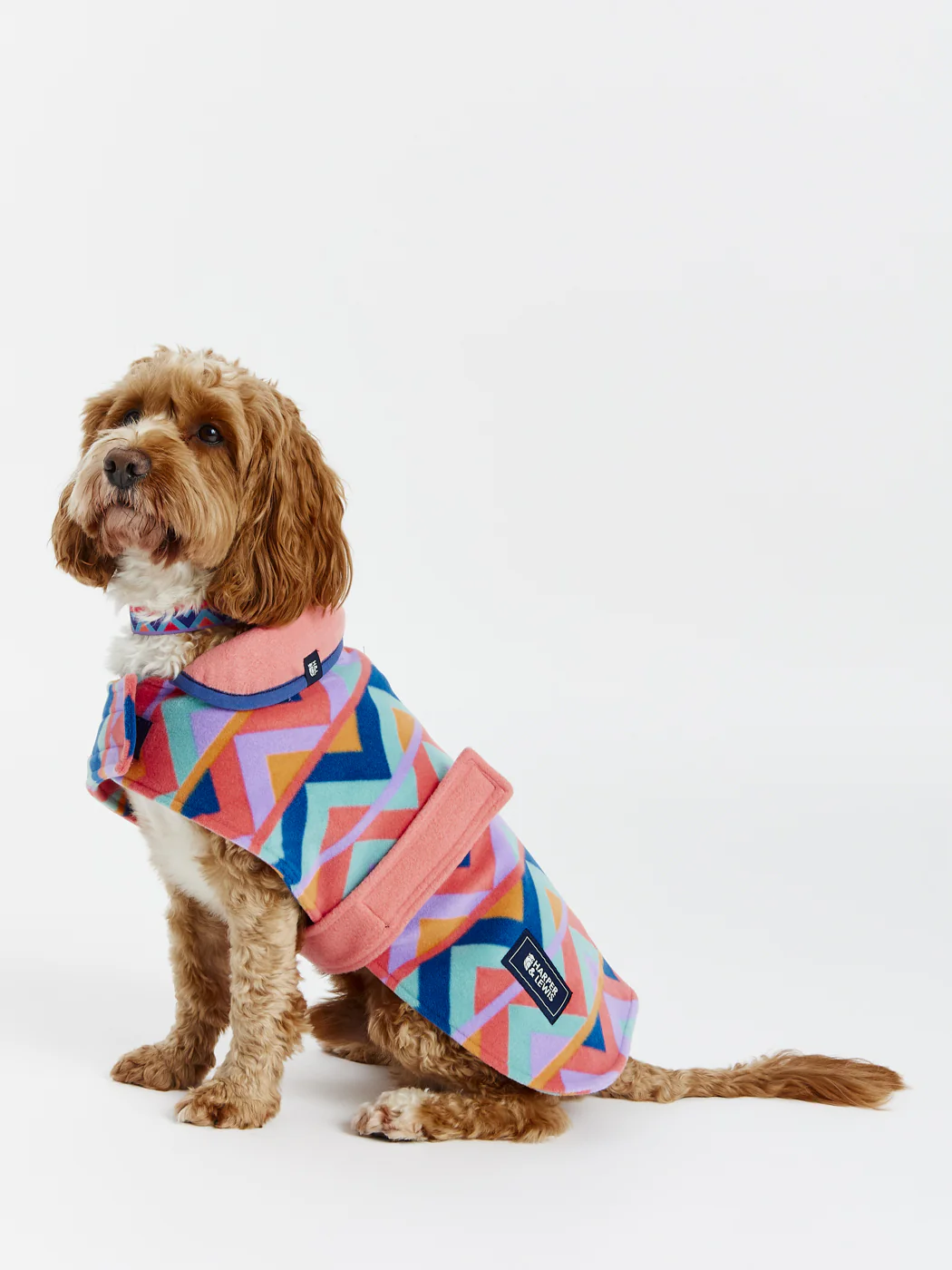Raver Dogs Fleece - Harper & Lewis