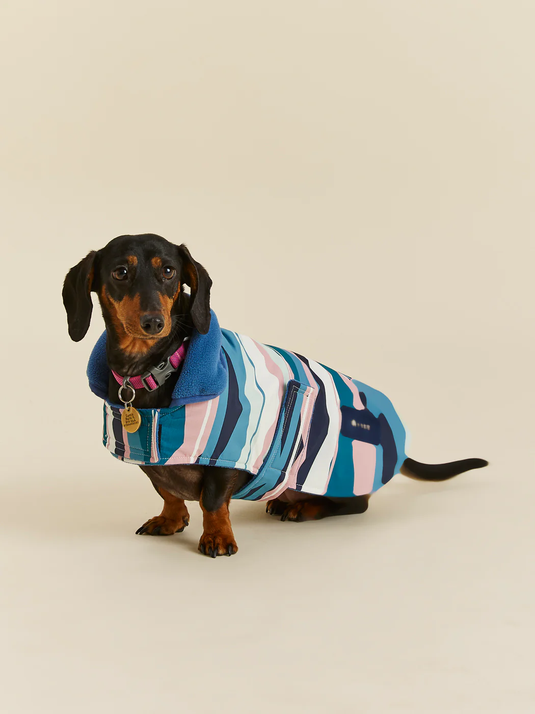 Alva Dogs Coat - Harper & Lewis
