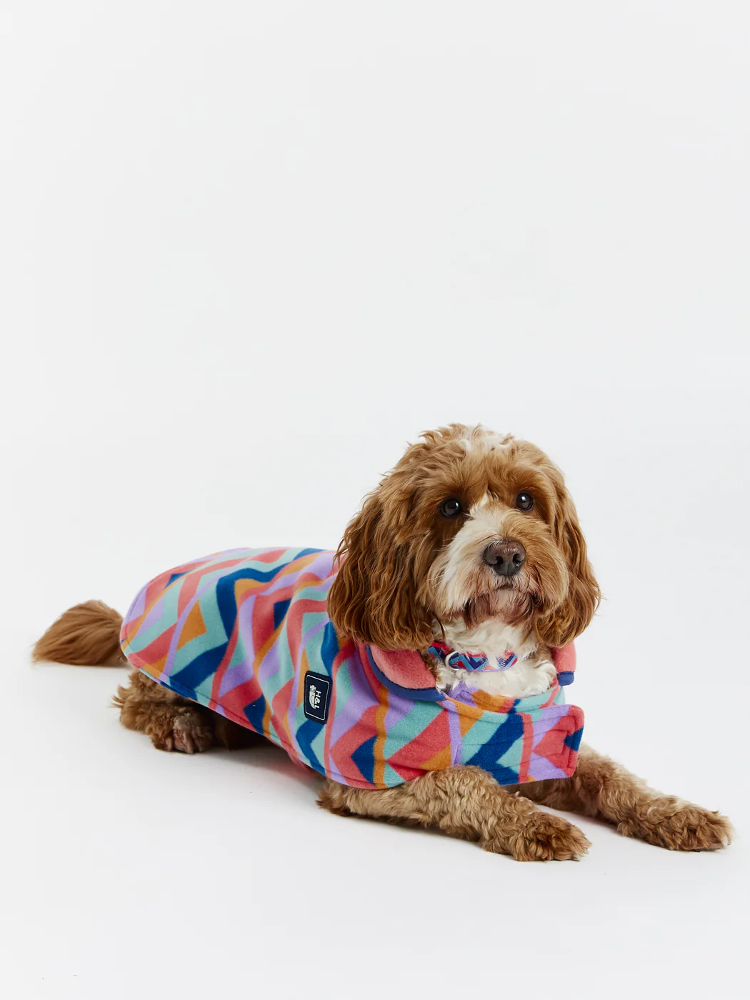 Raver Dogs Fleece - Harper & Lewis