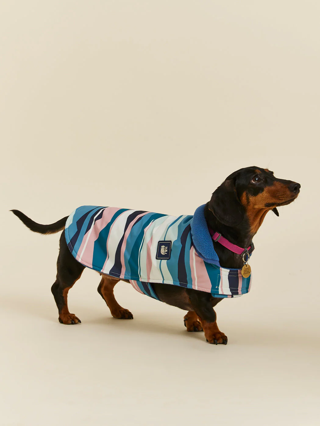 Alva Dogs Coat - Harper & Lewis