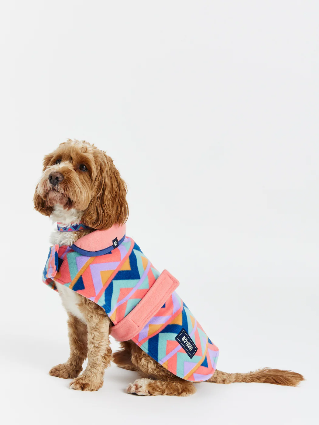 Raver Dogs Fleece - Harper & Lewis